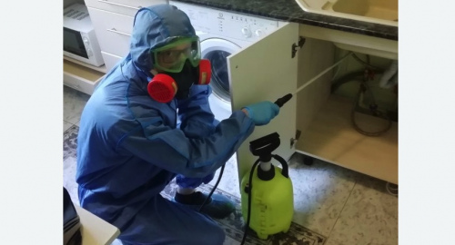 Уничтожение муравьев в квартире. Алтуфьевский район 