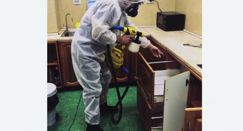 Дезинсекция квартиры. Алтуфьевский район 