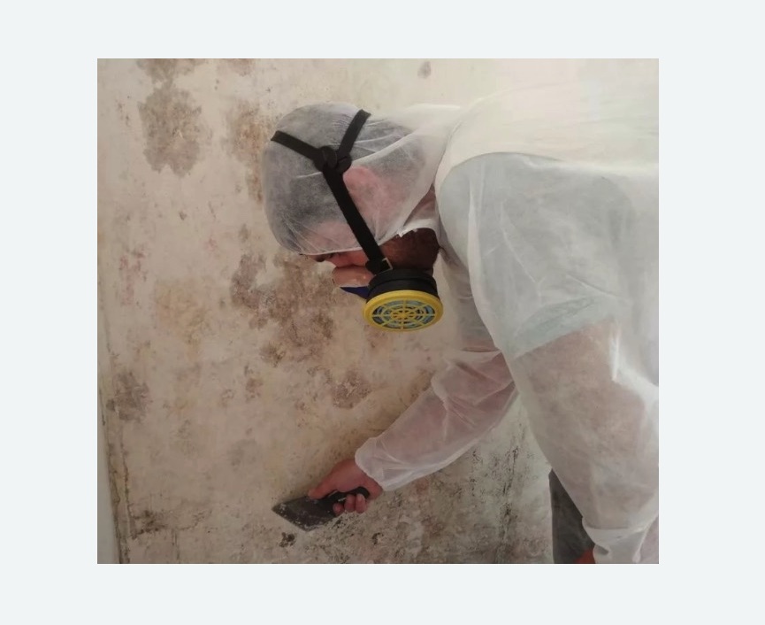 Обработка стен от плесени в Алтуфьевском районе Москвы