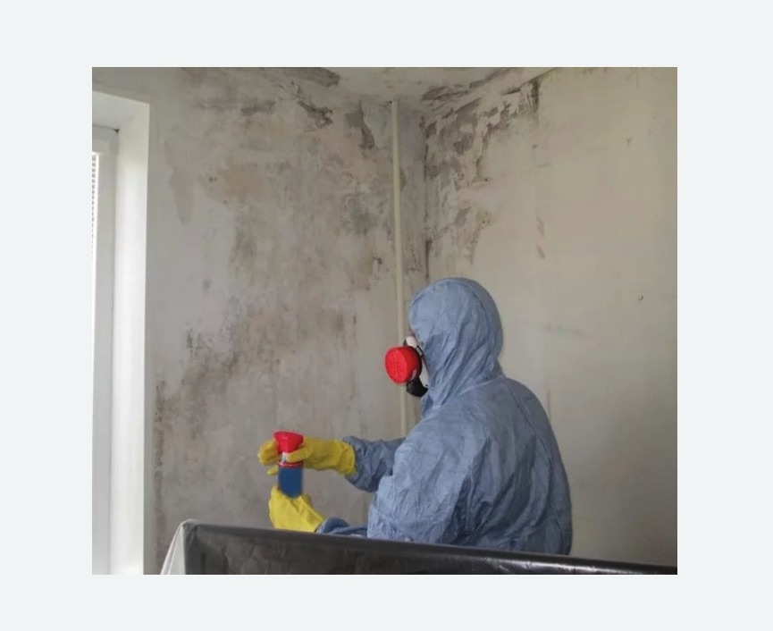 Удаление плесени в квартире в Алтуфьевском районе Москвы