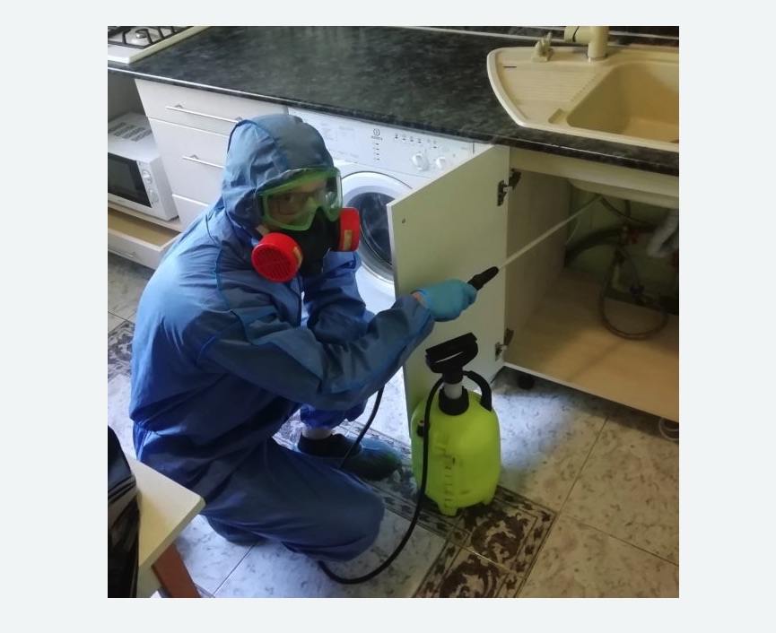 обработка от муравьев в квартире в Алтуфьевском районе Москвы