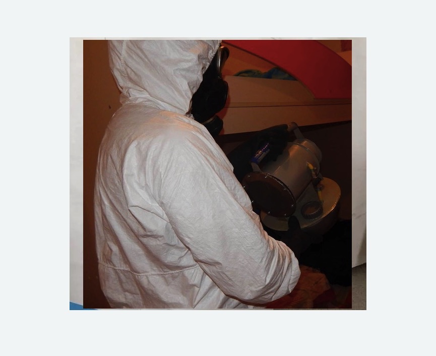 Дезинфекция от муравьев в Алтуфьевском районе Москвы