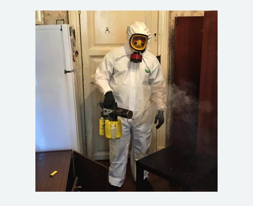 уничтожение муравьев в квартире в Алтуфьевском районе Москвы